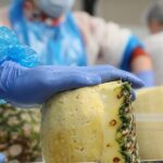 savoir-faire-fraiche-decoupe-fruits-legumes